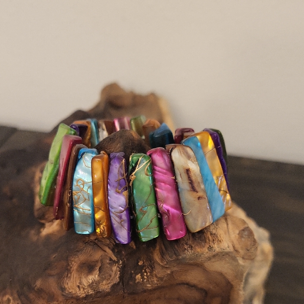 Abalone Shell Multicolor Stretch Bracelet